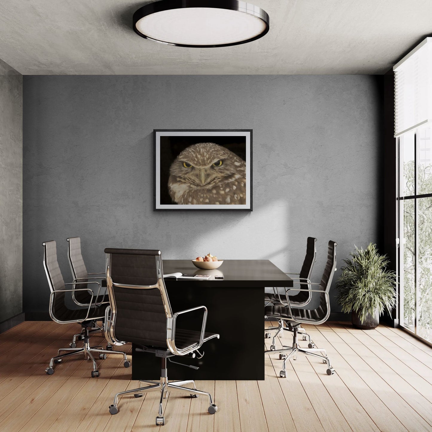 A large-scale 40x32 "Statement Edition" of the "Piercing Intensity" Burrowing Owl print commanding a professional boardroom. The wildlife art is displayed in a textured black frame on a grey concrete feature wall, highlighting its high-fidelity detail and commanding presence in a luxury interior space.