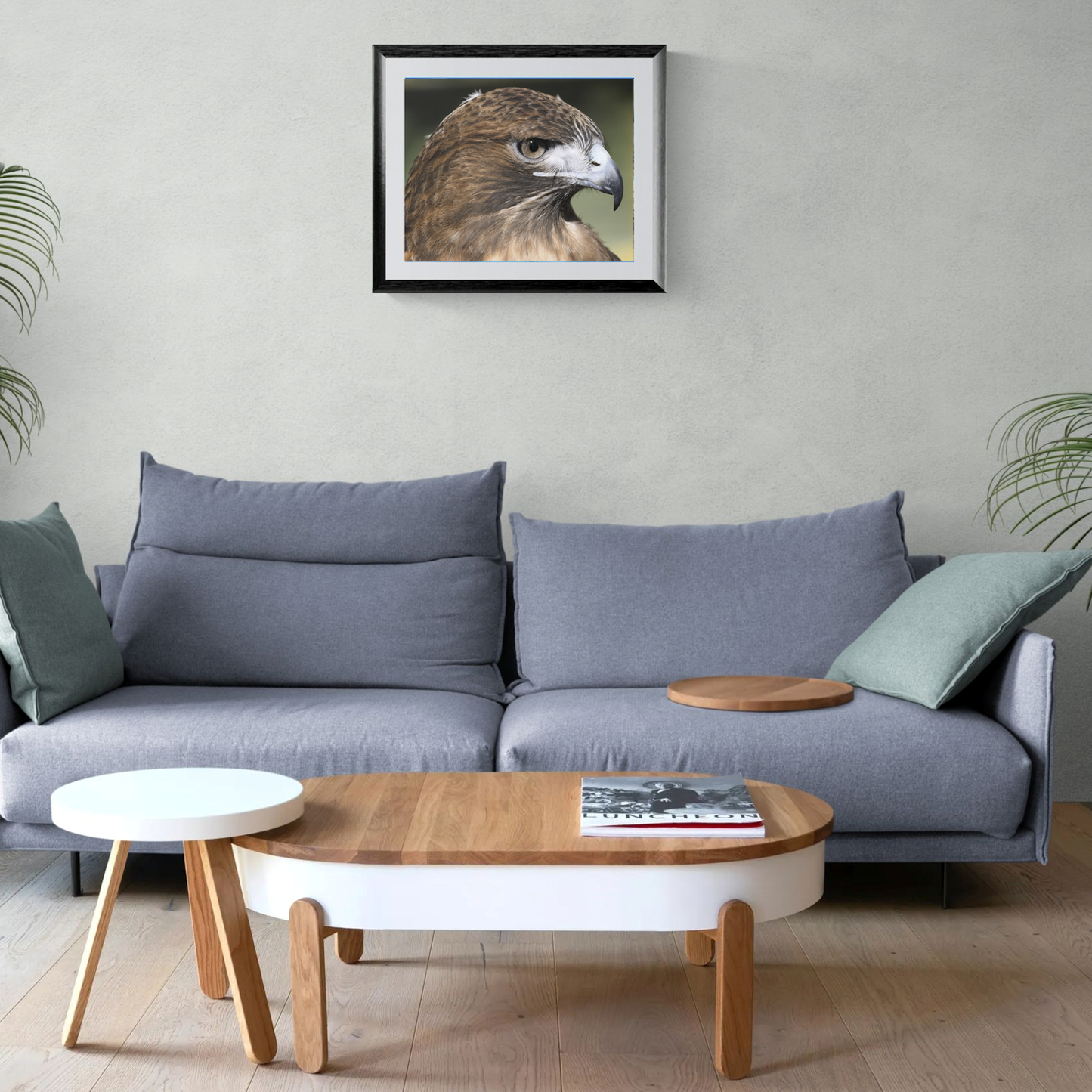 A large-format fine art photography print featuring a Red-tailed Hawk, presented in a black frame with a crisp white gallery mat. The artwork is centered on a light neutral living room wall directly above a modern gray sofa.