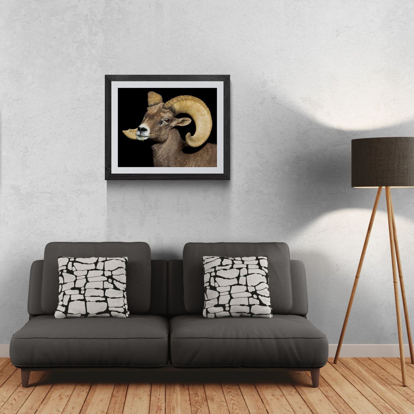 A 30x24 'Gallery Edition' of the 'Desert Monarch' wildlife print, featuring a high-definition portrait of a Desert Bighorn Sheep ram with massive curled horns. The textured black gallery frame anchors the matted print on a light-textured wall above a modern dark gray sofa. To the right, a tripod floor lamp provides a residential scale reference for this /50 limited edition deployment, showcasing the organic detail and presence of the animal for a primary living space.