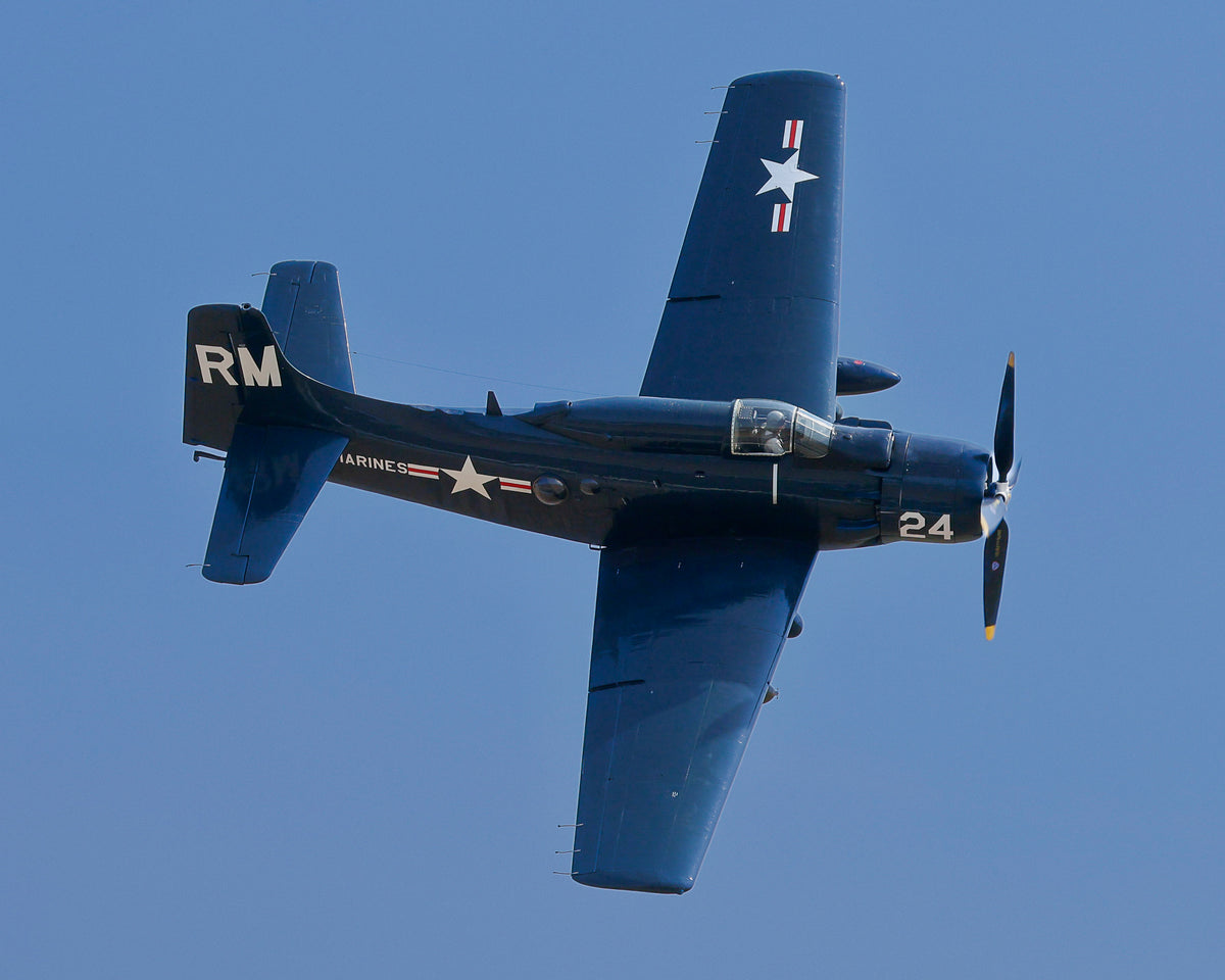 Douglas A-1 Skyraider naval attack aircraft banking overhead against open blue sky, fine art warbird print by Phil Schmauder.