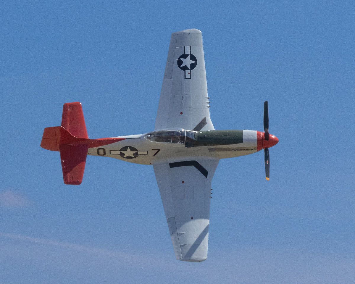 North American P-51D Mustang in Tuskegee Airmen Red Tail livery in a vertical knife-edge bank against blue sky, fine art warbird print by Phil Schmauder.
