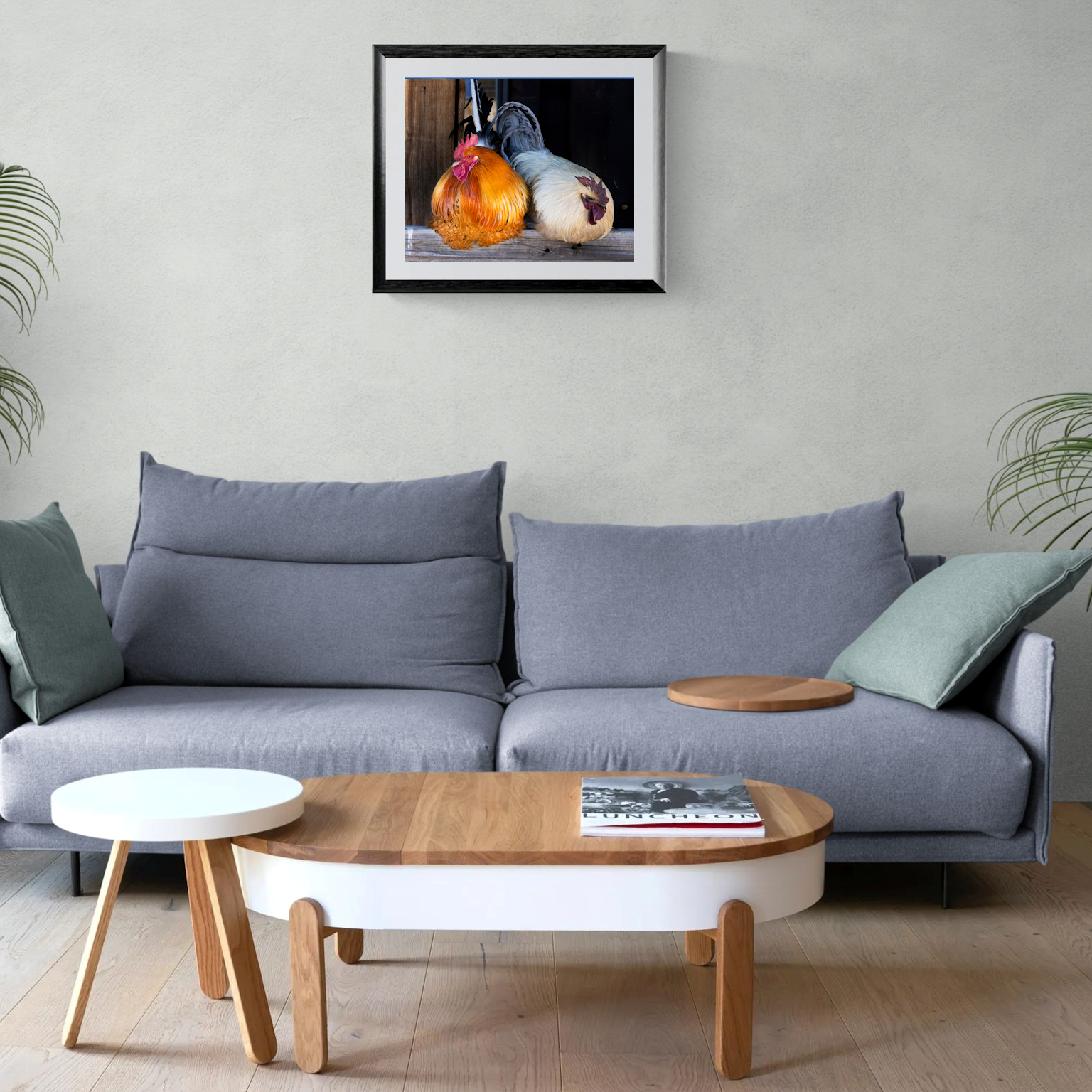 A large-format fine art photography print of two colorful roosters, enclosed in a premium black frame with a clean white mat. The vibrant artwork is centered on a light neutral living room wall directly above a contemporary gray sofa.