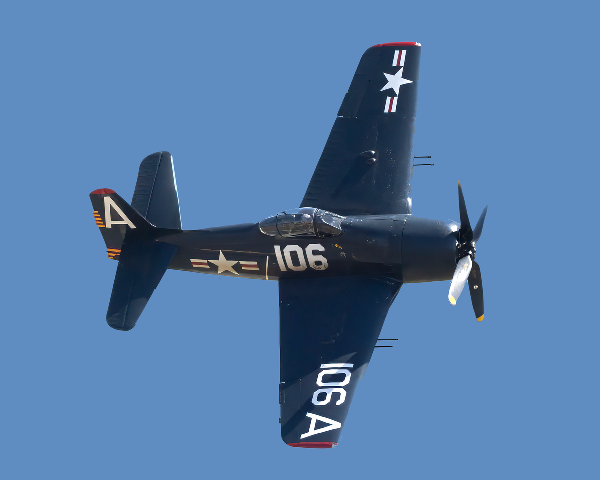 Open edition fine art print of The Final Cat Grumman F8F Bearcat banking in vertical descent against blue sky, aviation photography by Phil Schmauder.